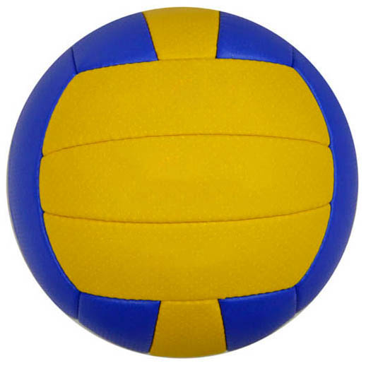 Volley Ball