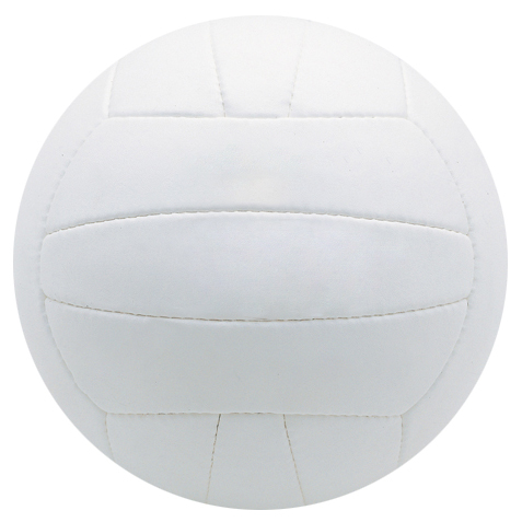 Volley Ball